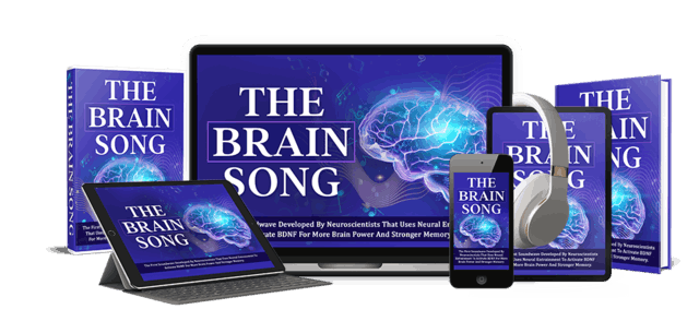 the brain song  image